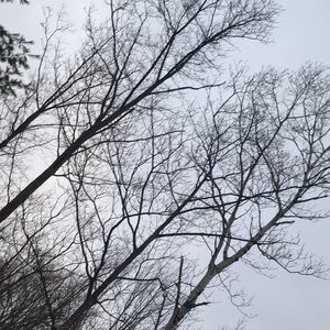 Meet your Posher, Stella